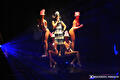 The Iconic Dinnershow
